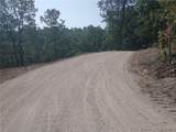 95 Acre Lot on Concrete Road - Photo 30