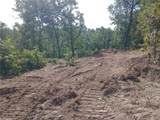 95 Acre Lot on Concrete Road - Photo 33