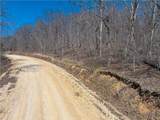  Central Ozarks Road - Photo 12