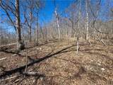  Central Ozarks Road - Photo 16