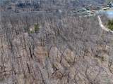  Central Ozarks Road - Photo 33