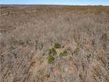  Central Ozarks Road - Photo 34