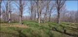 #7 Timber Ridge 432' Estates - Photo 5