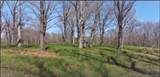#7 Timber Ridge 432' Estates - Photo 6
