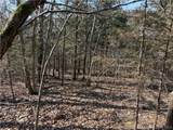  Copperhead Holler - Photo 13
