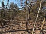  Copperhead Holler - Photo 15