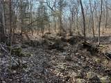  Copperhead Holler - Photo 16