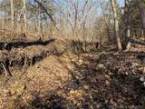  Copperhead Holler - Photo 17