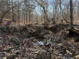  Copperhead Holler - Photo 18