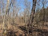  Copperhead Holler - Photo 19