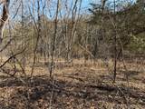  Copperhead Holler - Photo 21
