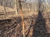  Copperhead Holler - Photo 22