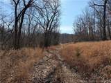  Copperhead Holler - Photo 23