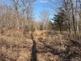  Copperhead Holler - Photo 26