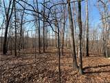  Copperhead Holler - Photo 4