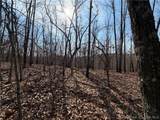  Copperhead Holler - Photo 5