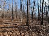  Copperhead Holler - Photo 6