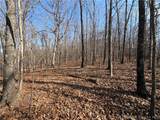  Copperhead Holler - Photo 7