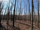  Copperhead Holler - Photo 9