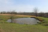 80 ac. Ripley Co 160W-15 Road - Photo 12