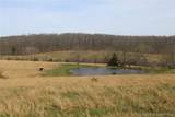 80 ac. Ripley Co 160W-15 Road - Photo 16