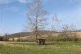 80 ac. Ripley Co 160W-15 Road - Photo 18