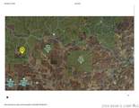 80 ac. Ripley Co 160W-15 Road - Photo 2