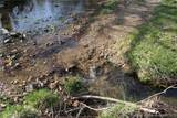 80 ac. Ripley Co 160W-15 Road - Photo 20