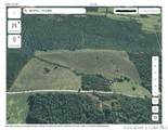 80 ac. Ripley Co 160W-15 Road - Photo 22