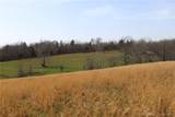 80 ac. Ripley Co 160W-15 Road - Photo 4