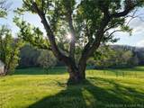 29740 Proctor Road - Photo 35