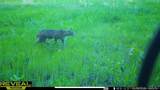 TBD Brainerd Lane - Photo 35
