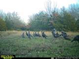 TBD Brainerd Lane - Photo 36