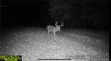 TBD Brainerd Lane - Photo 40
