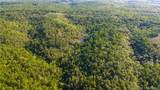 40 Acres State Road D - Photo 11