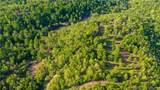 40 Acres State Road D - Photo 16