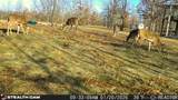 40 Acres State Road D - Photo 28
