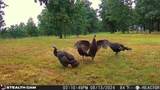 40 Acres State Road D - Photo 29