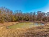 21255 Lark Road - Photo 5