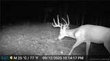 30915 Broken Circle Road - Photo 2