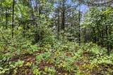 TBD Little Buffalo Road - Photo 28