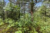 TBD Little Buffalo Road - Photo 29