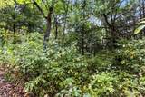 TBD Little Buffalo Road - Photo 32