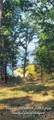 34477 Resevoir Ridge Road - Photo 3