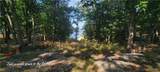 34477 Resevoir Ridge Road - Photo 4