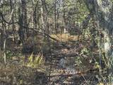 159.63 acres Hwy N - Photo 6