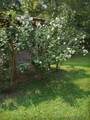 4458 N Cove Road - Photo 3