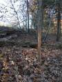 5.1 Acre Lot on Concrete Road - Photo 4