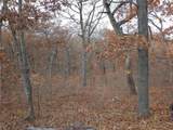 5.1 Acre Lot on Concrete Road - Photo 6
