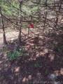 33092 Lake Trail Road - Photo 30